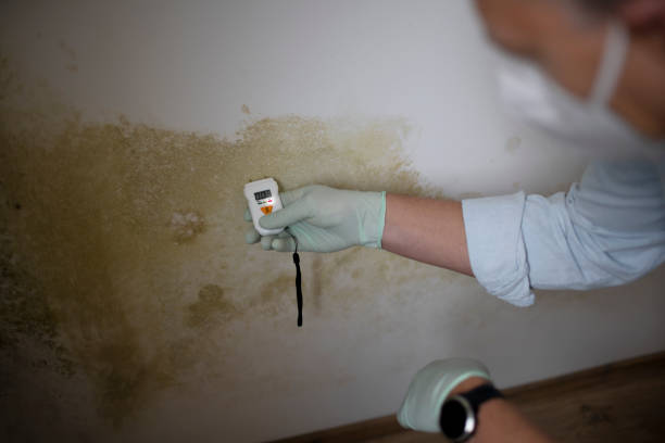 Best Mold Testing and Inspection Services in Gardere, LA